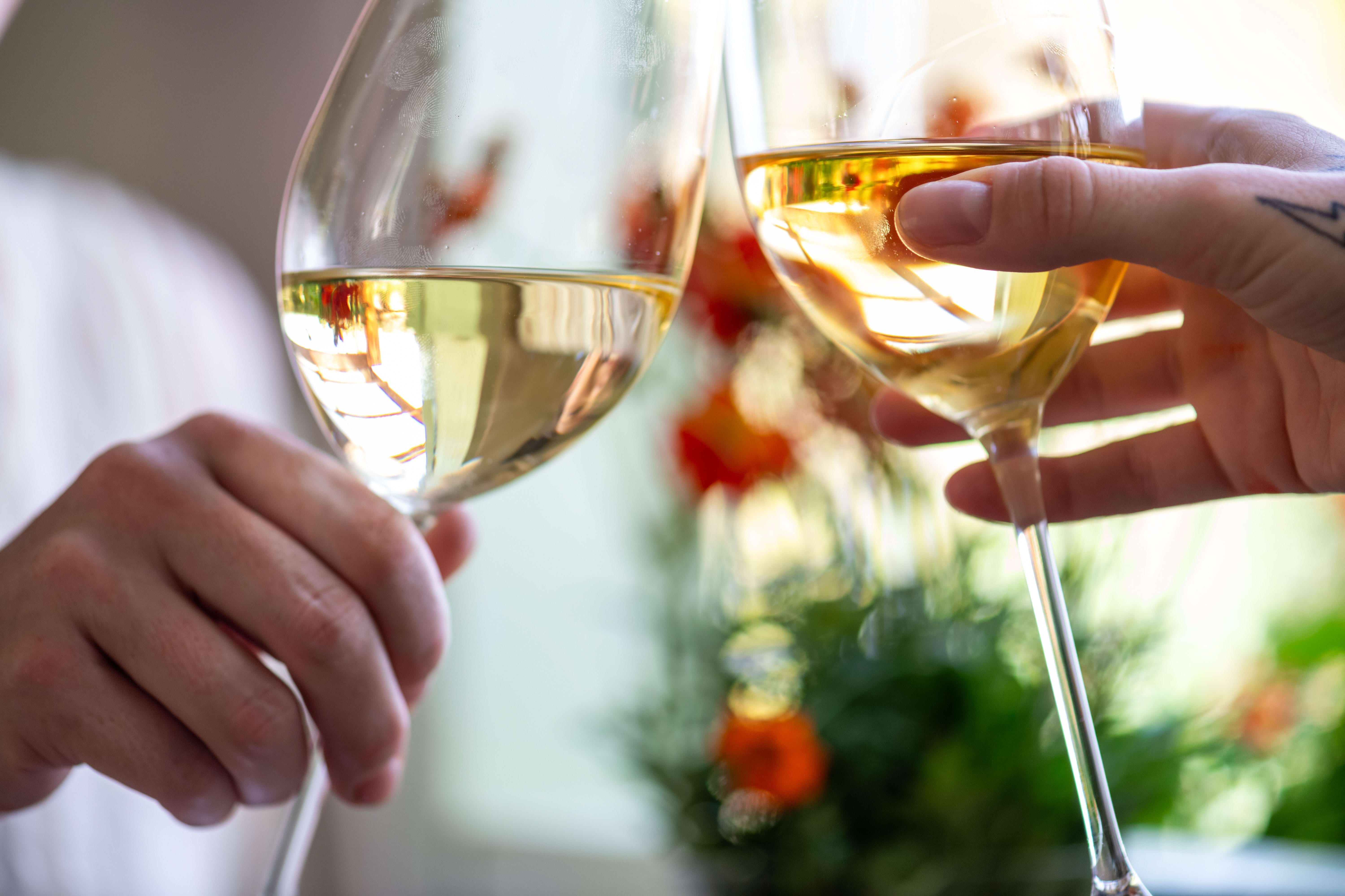 Vino and Vibes Image 1